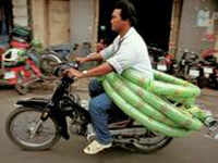 A man on a motorcycle with many green bananas strapped to the back.