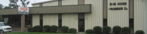 A building with two bushes and a door.